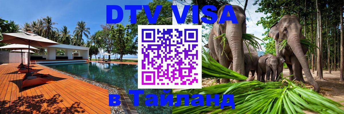 Оформление DTV визы под ключ: стоимость и тарифы, только загранпаспорт - 19.11.2025 
